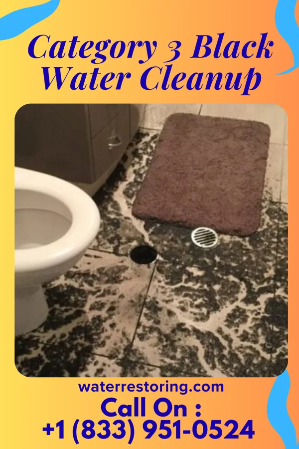 Category 3 Black Water Cleanup in LaCoste, TX