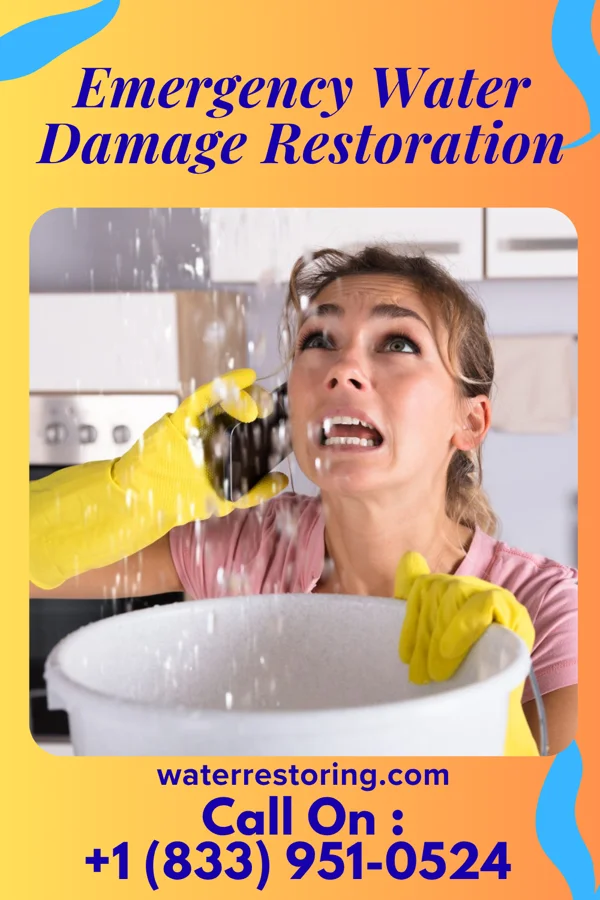 Emergency Water Damage Restoration in LaCoste, TX