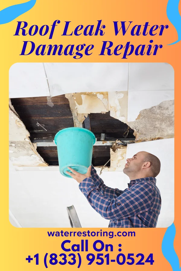 Roof Leak Water Damage Repair in LaCoste, TX